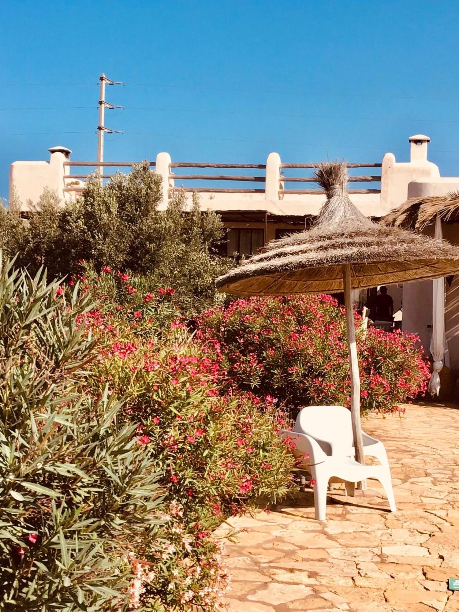 Dar Alya Essaouira Maison Et Table D'Hotes Ghazoua Ngoại thất bức ảnh