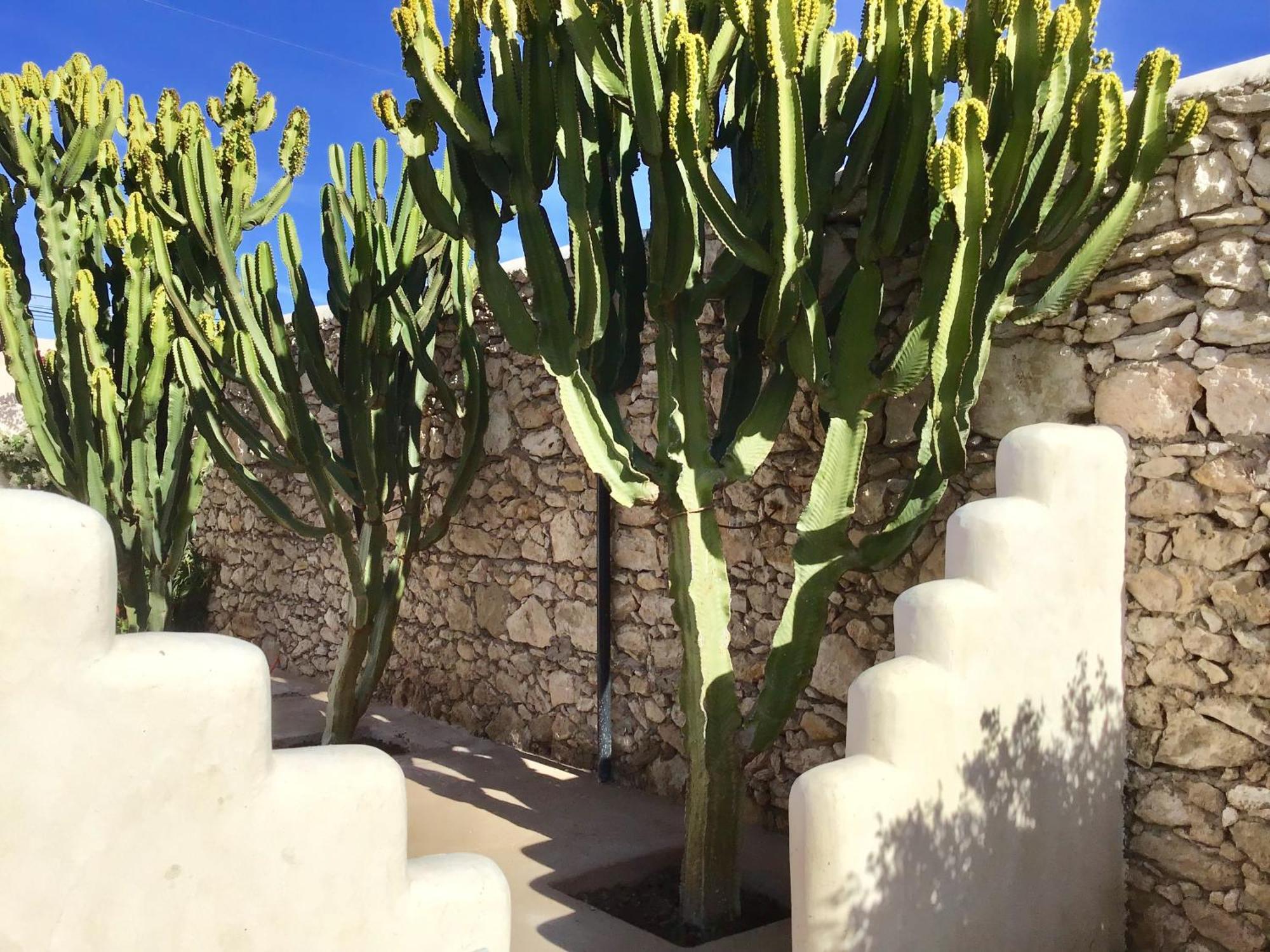 Dar Alya Essaouira Maison Et Table D'Hotes Ghazoua Ngoại thất bức ảnh