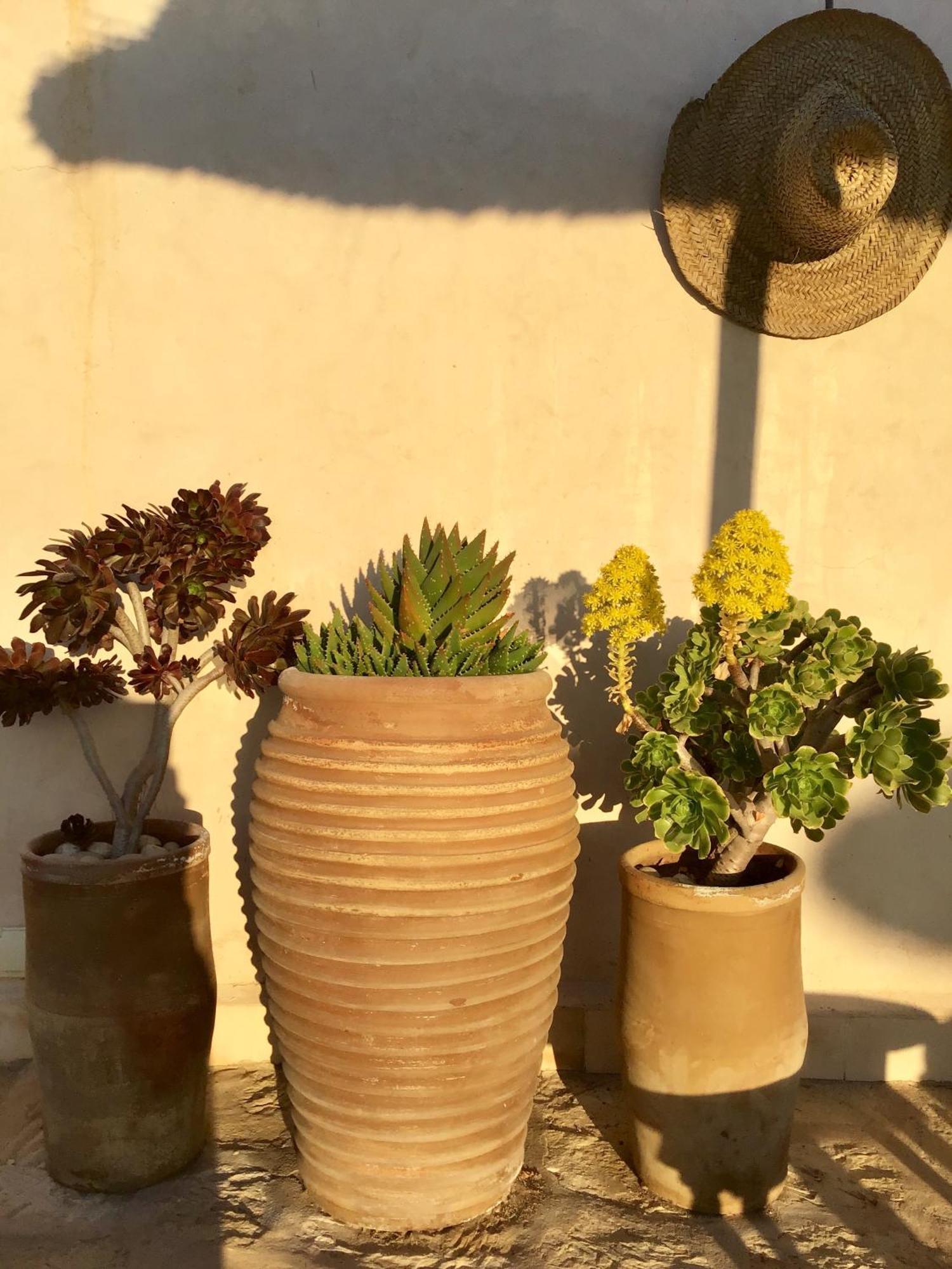 Dar Alya Essaouira Maison Et Table D'Hotes Ghazoua Ngoại thất bức ảnh