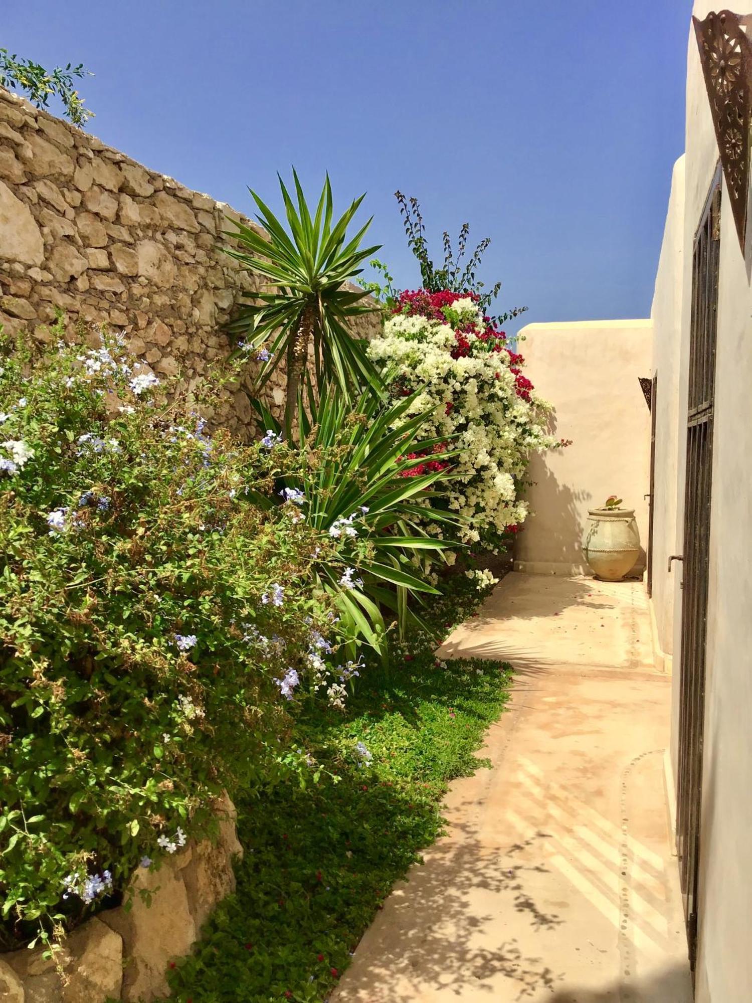 Dar Alya Essaouira Maison Et Table D'Hotes Ghazoua Ngoại thất bức ảnh