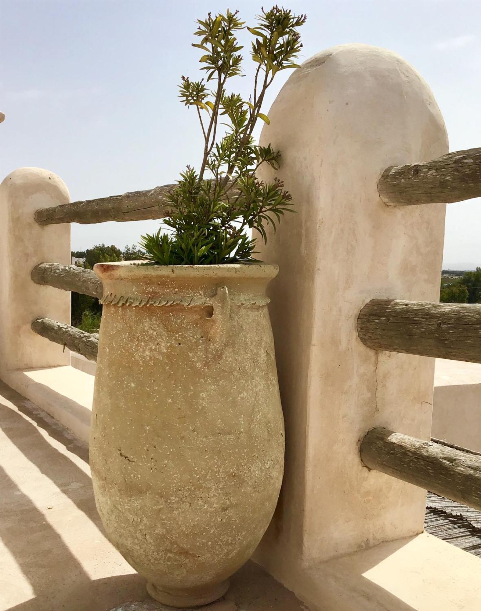 Dar Alya Essaouira Maison Et Table D'Hotes Ghazoua Ngoại thất bức ảnh
